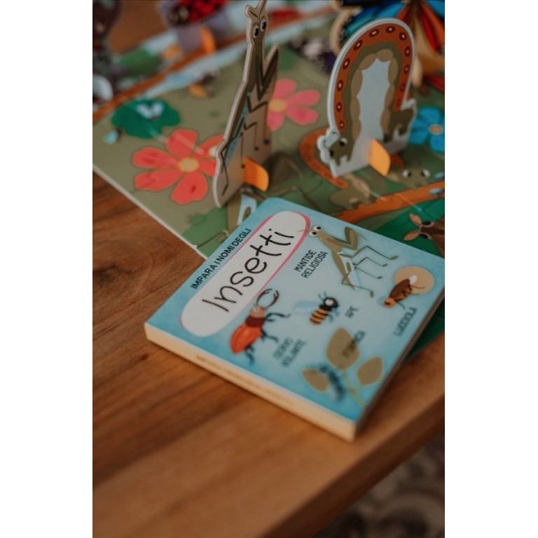 Q-box. Le jardin des petites bêtes