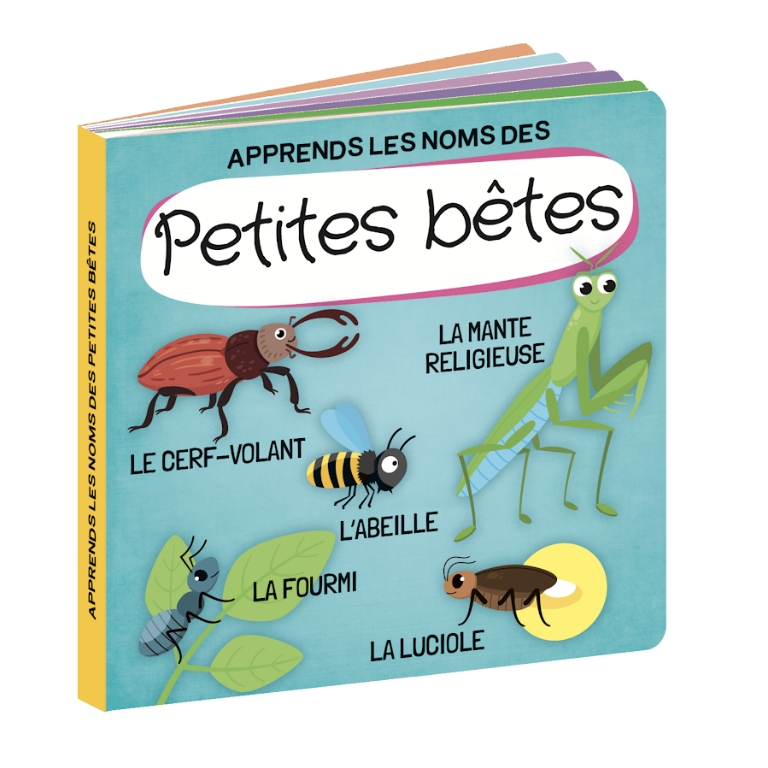 Q-box. Le jardin des petites bêtes