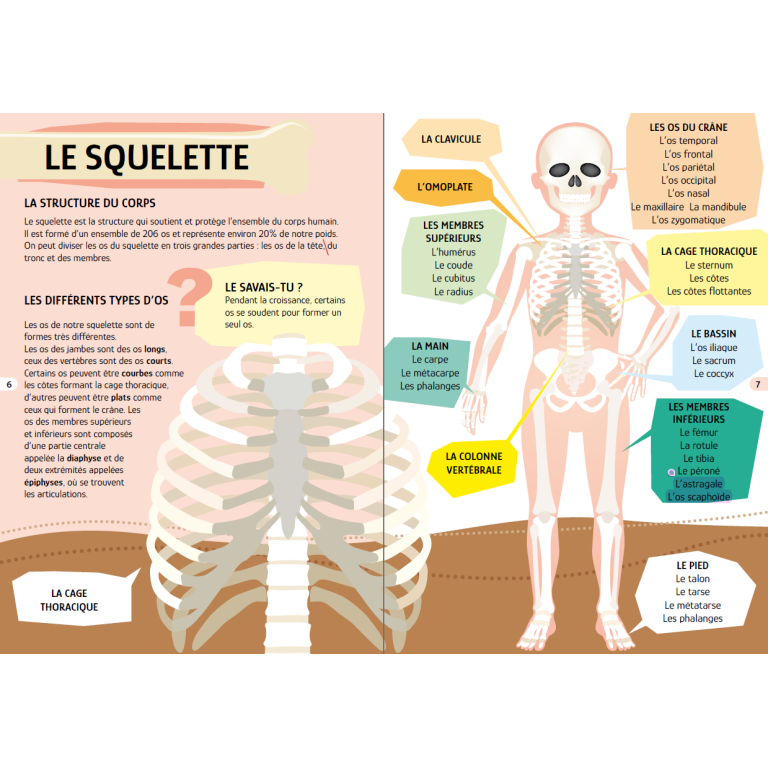 Voyage , découvre, explore. Le corps humain - N.E. 2024 (Outlet)