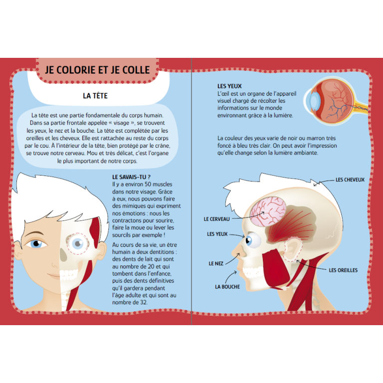 Mes premières activités arts & crafts. Le corps humain