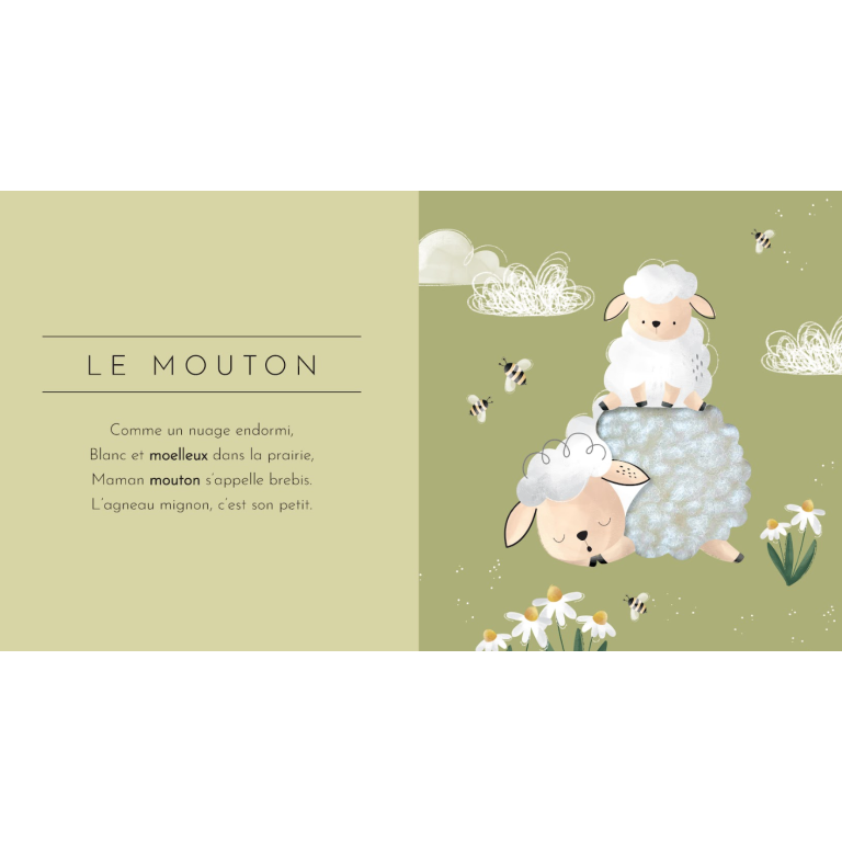 Touche à tout! Les animaux