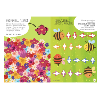 Mes premiers jeux de logique. Mille-fleurs