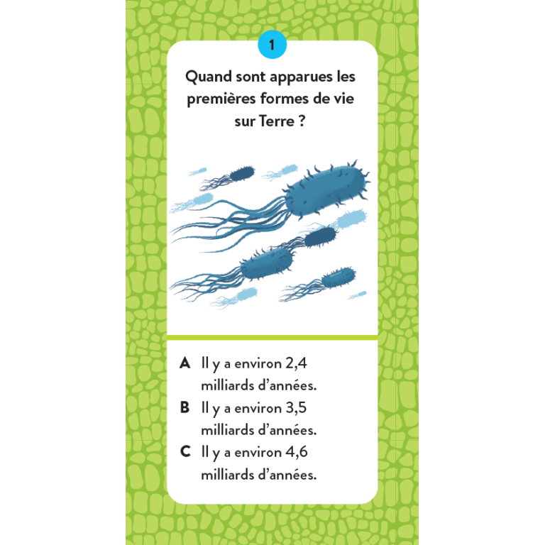 Le coffret du méga atlas des dinosaures (Outlet)