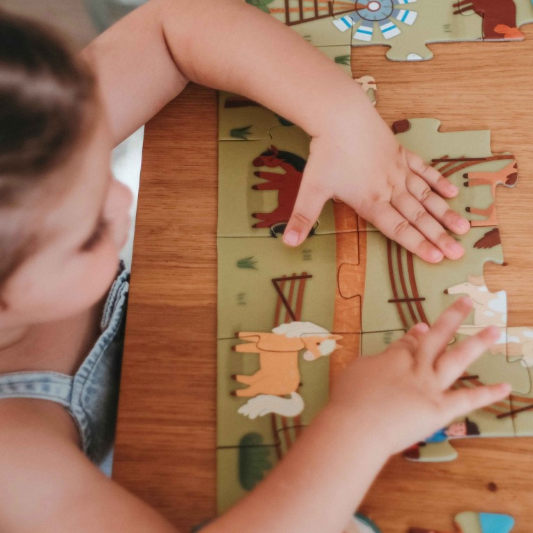 Q-box. Le monde des poneys