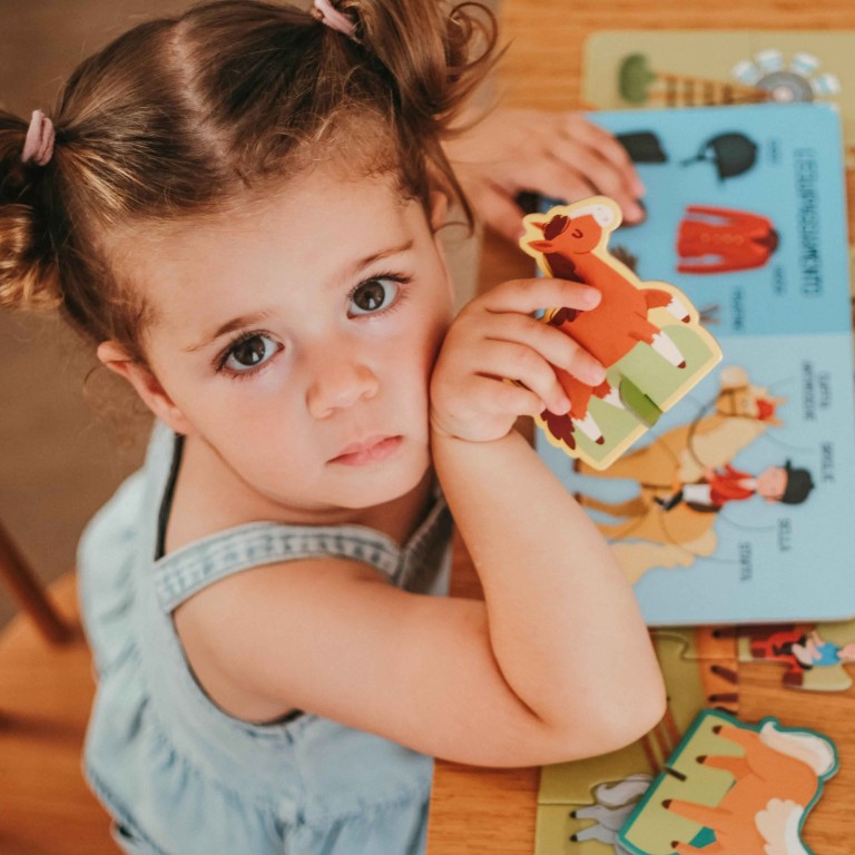 Q-box. Le monde des poneys