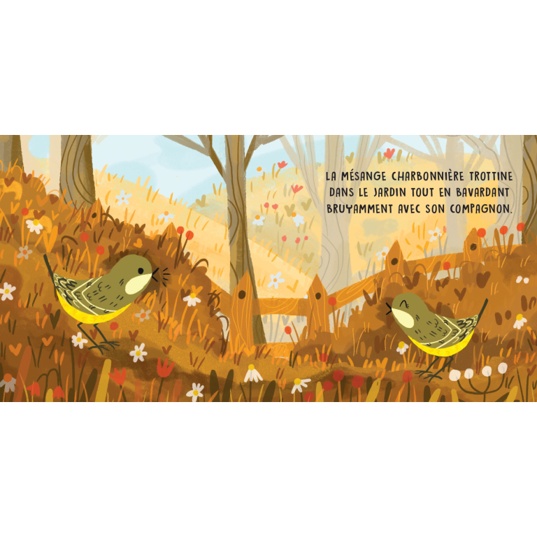 Douces histoires sonores. Les oiseaux