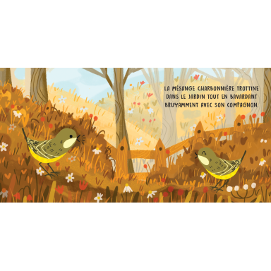 Douces histoires sonores. Les oiseaux