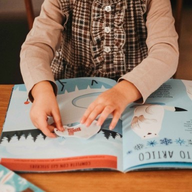 Livres d'activités. Les régions polaires
