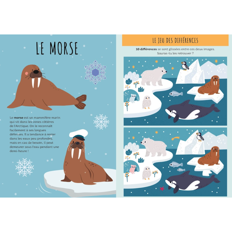 Livres d'activités. Les régions polaires