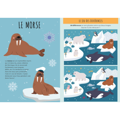 Livres d'activités. Les régions polaires