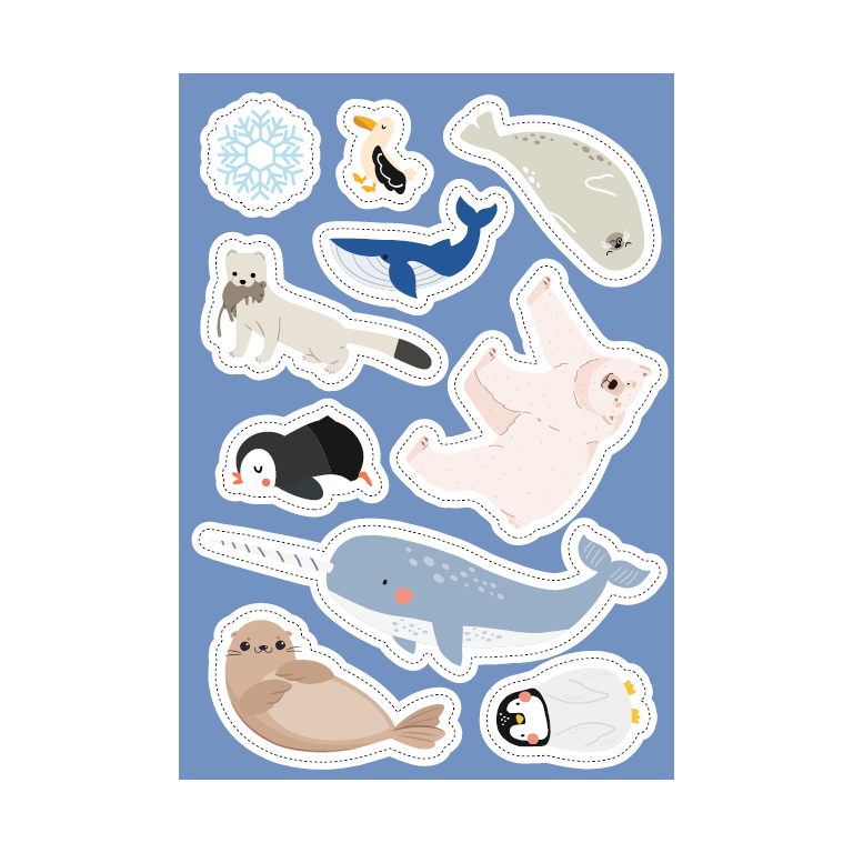 Livres d'activités. Les régions polaires