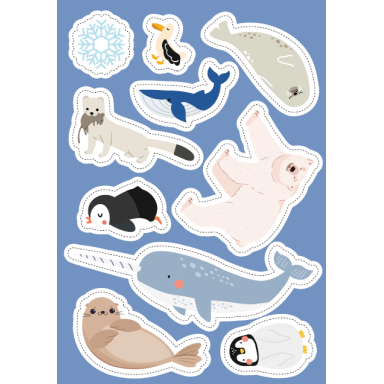 Livres d'activités. Les régions polaires