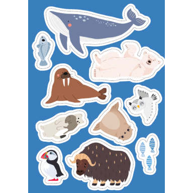 Livres d'activités. Les régions polaires