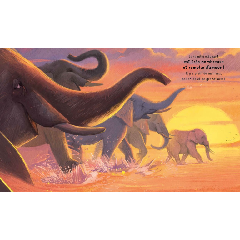 Tous les amours du monde