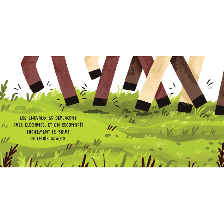 Douces histoires sonores. Au centre équestre