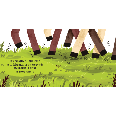 Douces histoires sonores. Au centre équestre