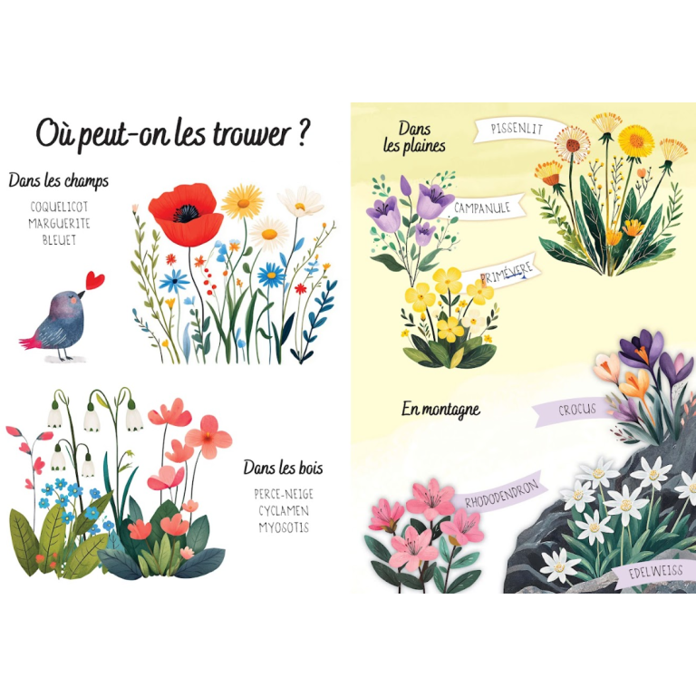 Puzzle magique à l'eau. Les fleurs