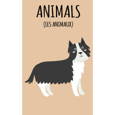 Ma petite bibliothèque. J'apprends l'anglais