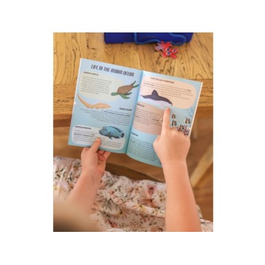 Mini Viaggia, conosci, esplora. Il mare