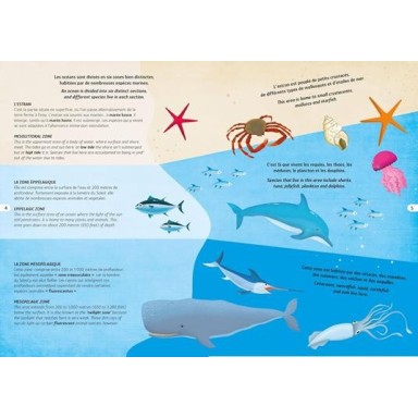 Voyage, découvre, explore. La mer