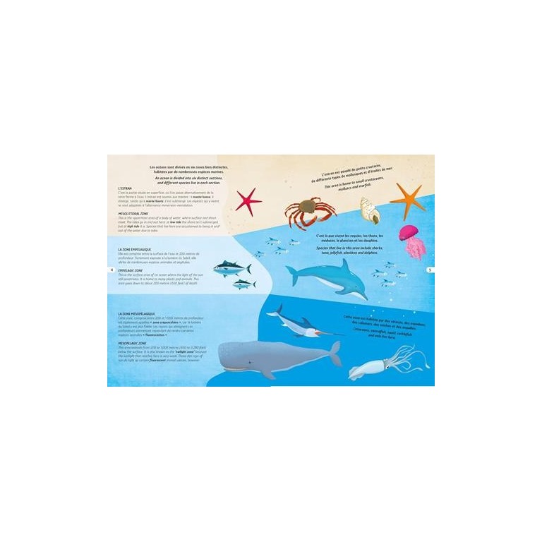 Voyage, découvre, explore. La mer