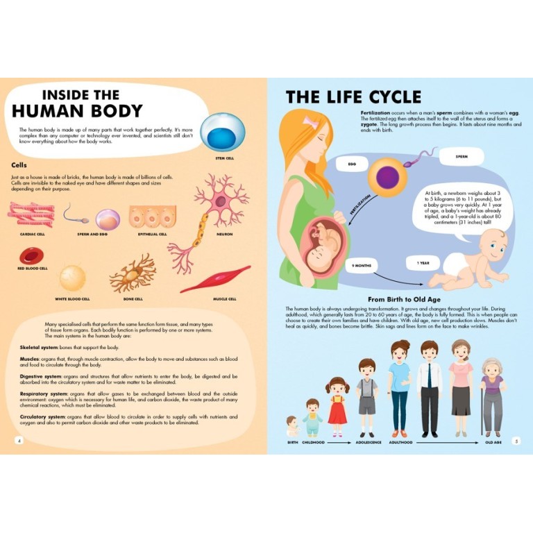 Viaggia, conosci, esplora. Il corpo umano