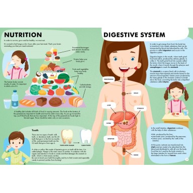 Viaggia, conosci, esplora. Il corpo umano