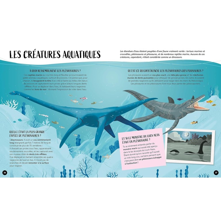 Quoi, comment, pourquoi. Les dinosaures