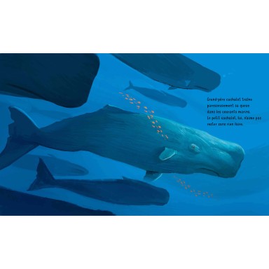 Même les grands-parents découvrent