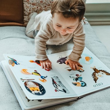 Mon imagier. Les animaux