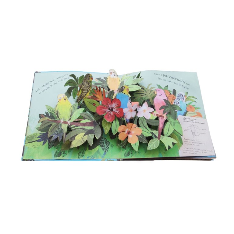 Pop-up della natura. Il mondo degli uccelli