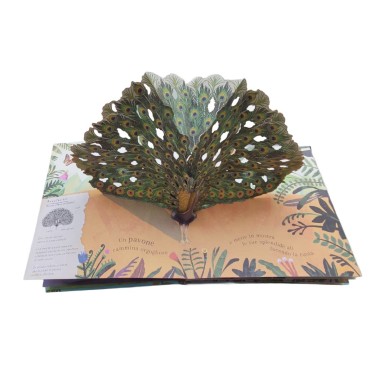 Pop-up della natura. Il mondo degli uccelli