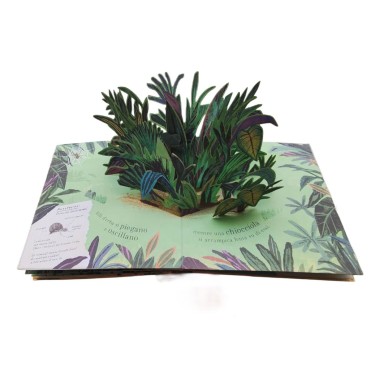 Pop-up della natura. Piccole creature