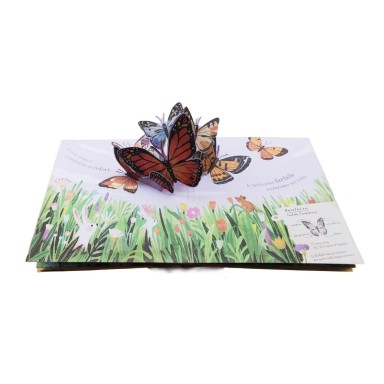 Pop-up della natura. Piccole creature