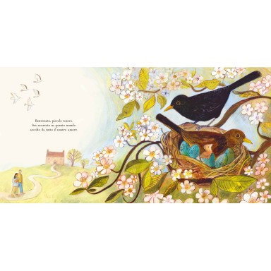 Ogni casa è un nido