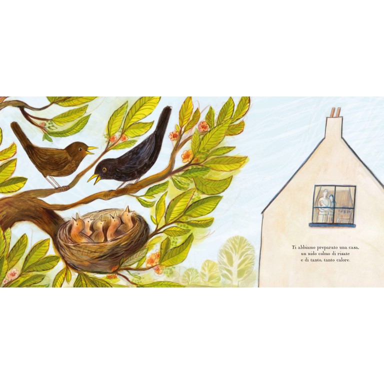 Ogni casa è un nido