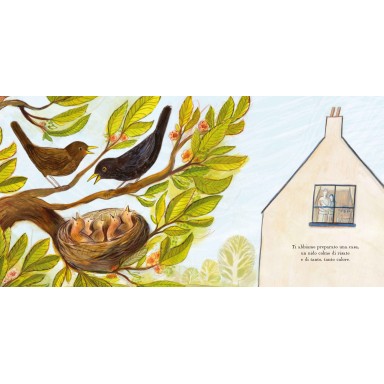 Ogni casa è un nido