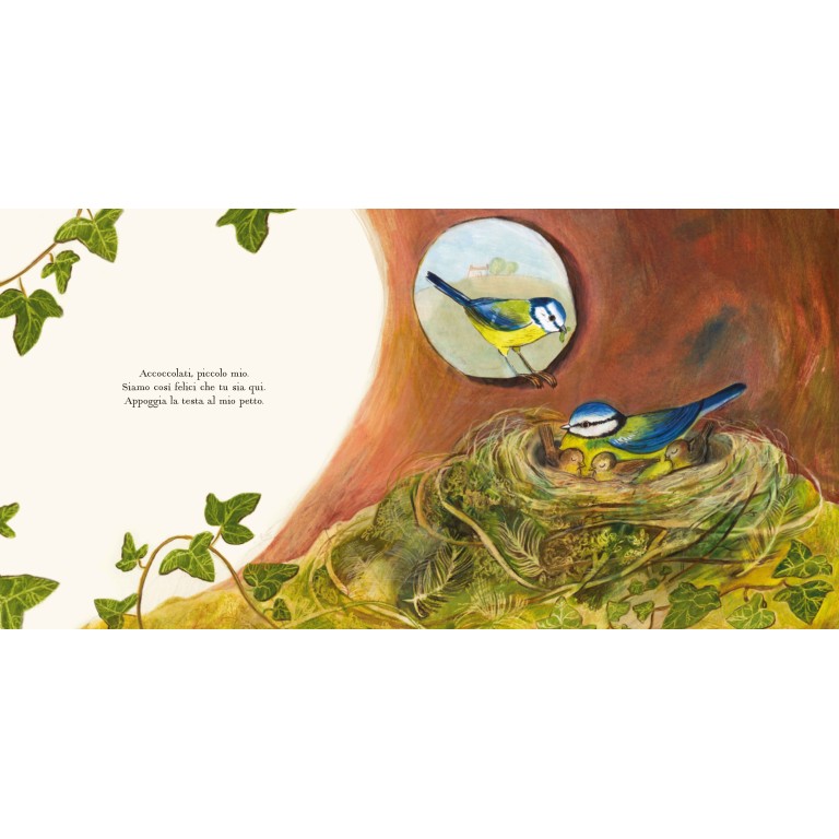 Ogni casa è un nido