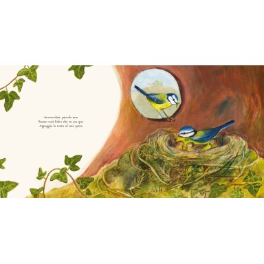 Ogni casa è un nido