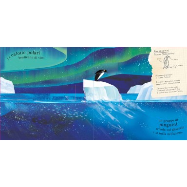 Pop-up della natura. Il mondo degli uccelli