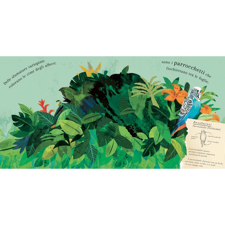 Pop-up della natura. Il mondo degli uccelli