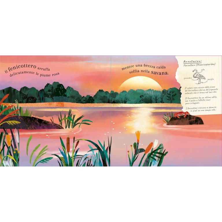 Pop-up della natura. Il mondo degli uccelli