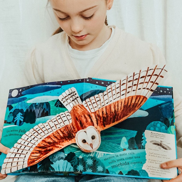 Pop-up della natura. Il mondo degli uccelli