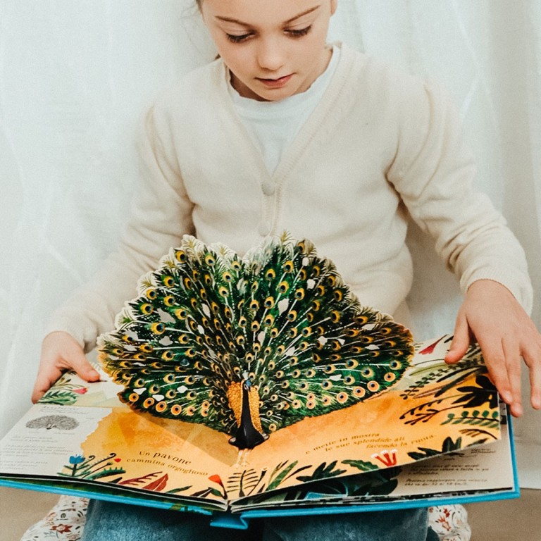 Pop-up della natura. Il mondo degli uccelli