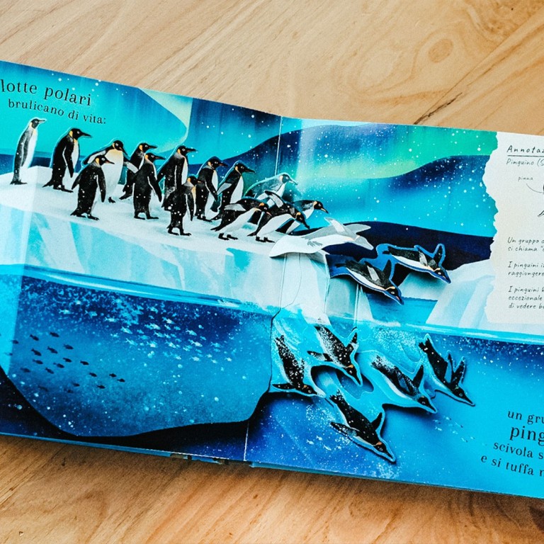 Pop-up della natura. Il mondo degli uccelli