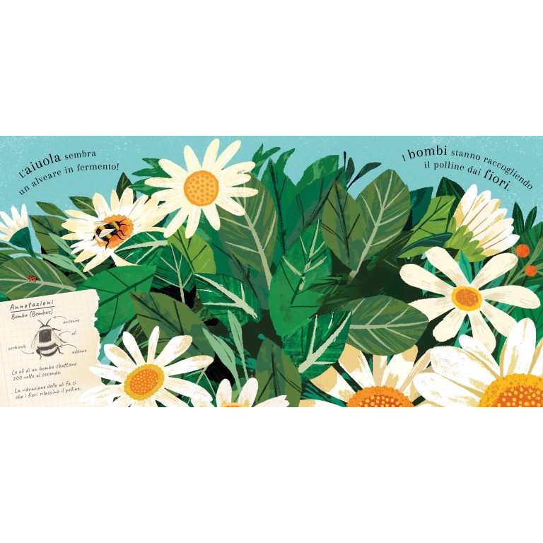 Pop-up della natura. Piccole creature