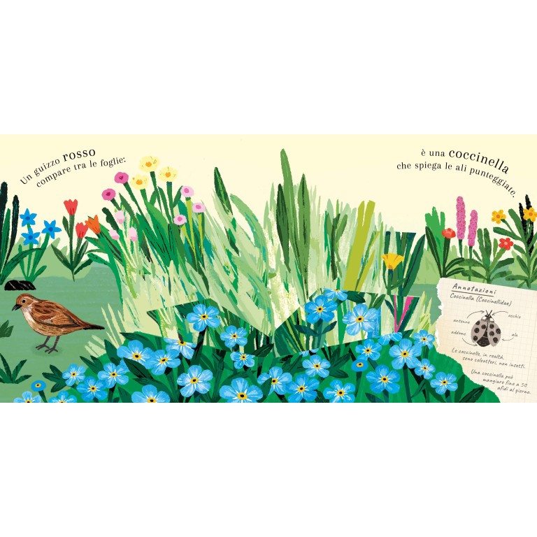 Pop-up della natura. Piccole creature