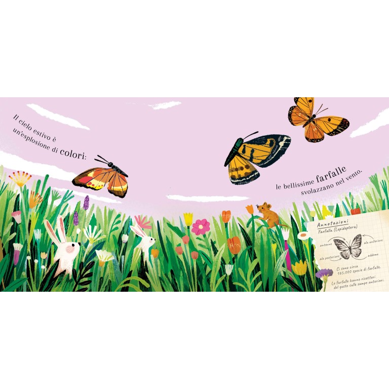 Pop-up della natura. Piccole creature