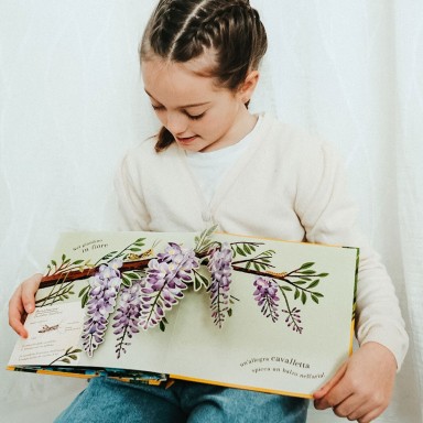 Pop-up della natura. Piccole creature