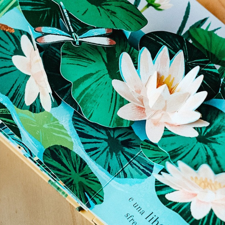 Pop-up della natura. Piccole creature